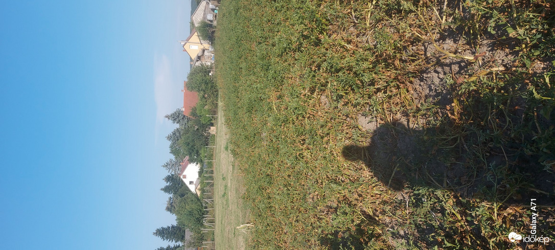 Pókaszepetk