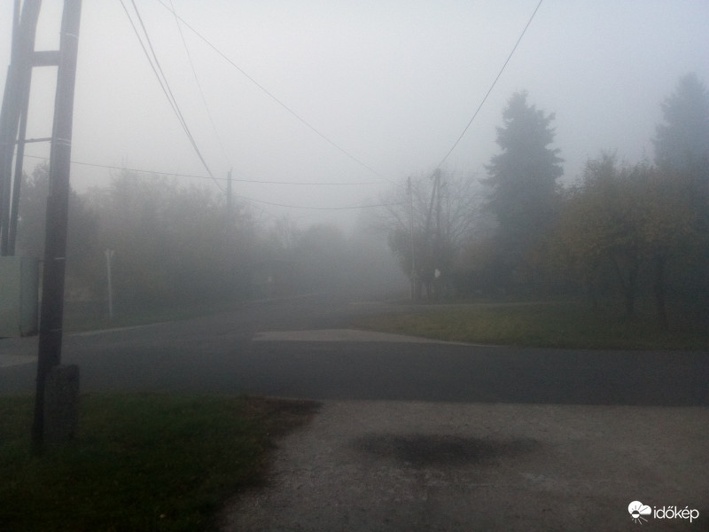 Köd