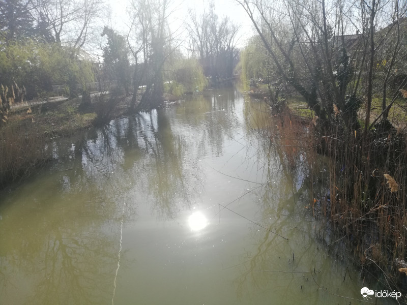 Természet 