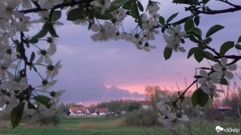 Kiskunhalas