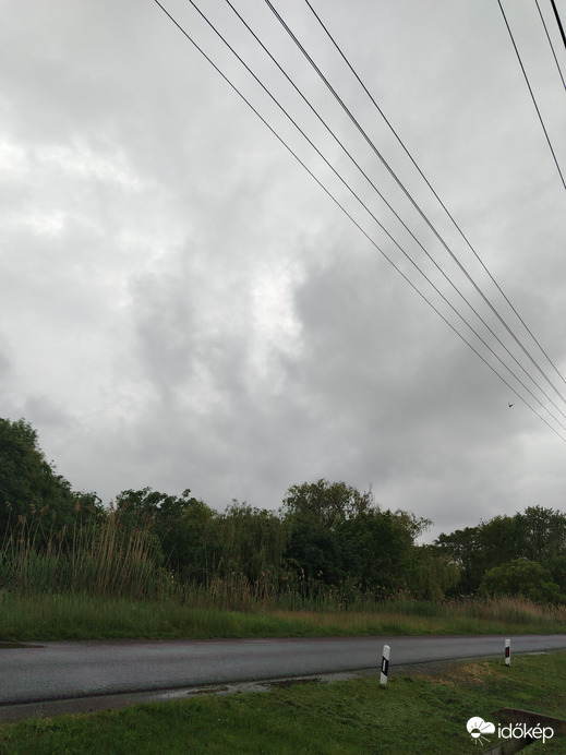 Pély