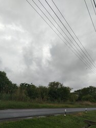 Pély