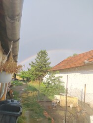 Pély