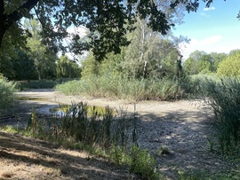 Kiszáradva