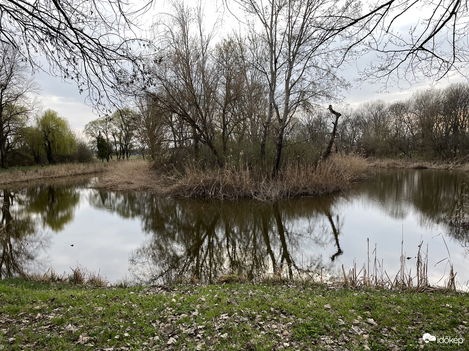 2721, Pilis Gerje-liget