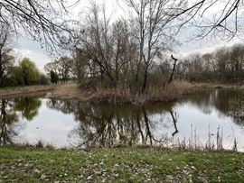 2721, Pilis Gerje-liget