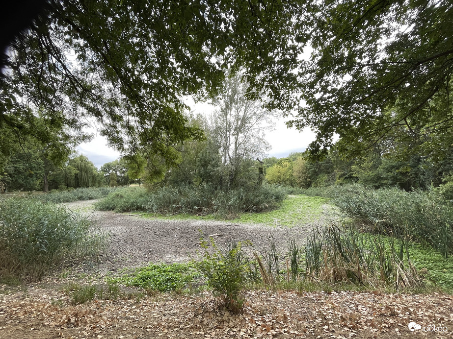 2721, Pilis Gerje park