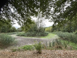 2721, Pilis Gerje park