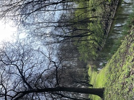 Natura 2000