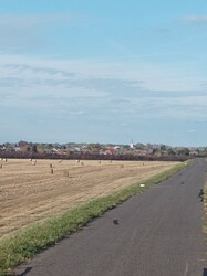 Olcsva