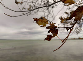 Balatonlelle