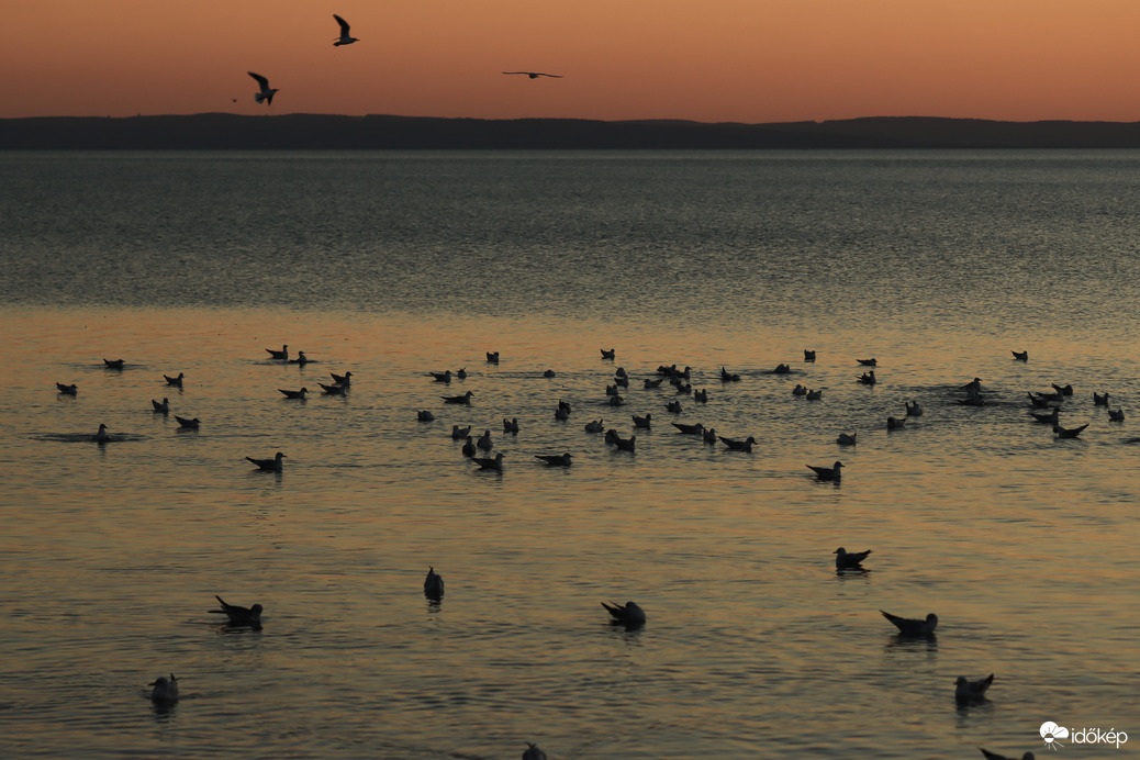 BALATONFŰZFŐ