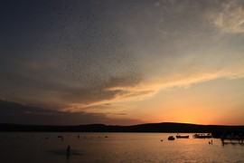 Balatonfűzfő