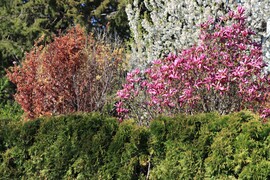 HÚSVÉTI  TAVASZI SZÍNPOMPA