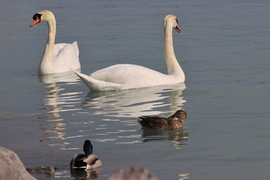 Csodálatos napsütésben