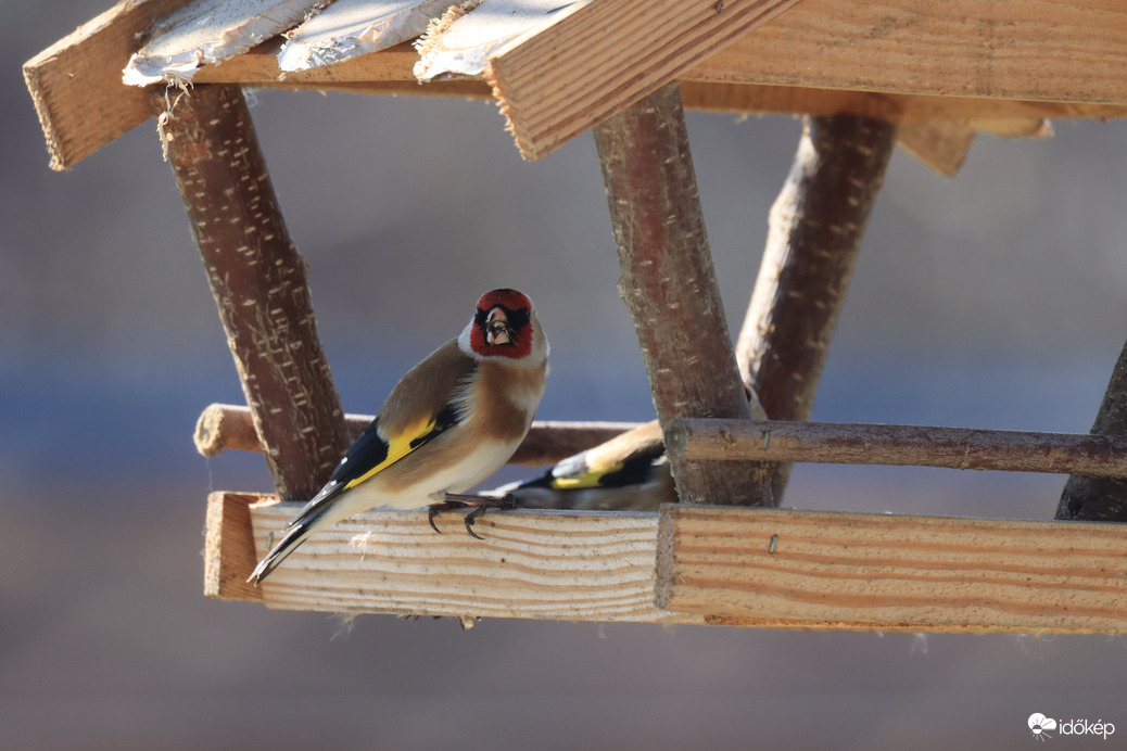 Élvezem a mai napsütést