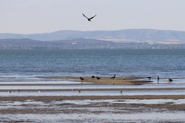 SIÓFOK
