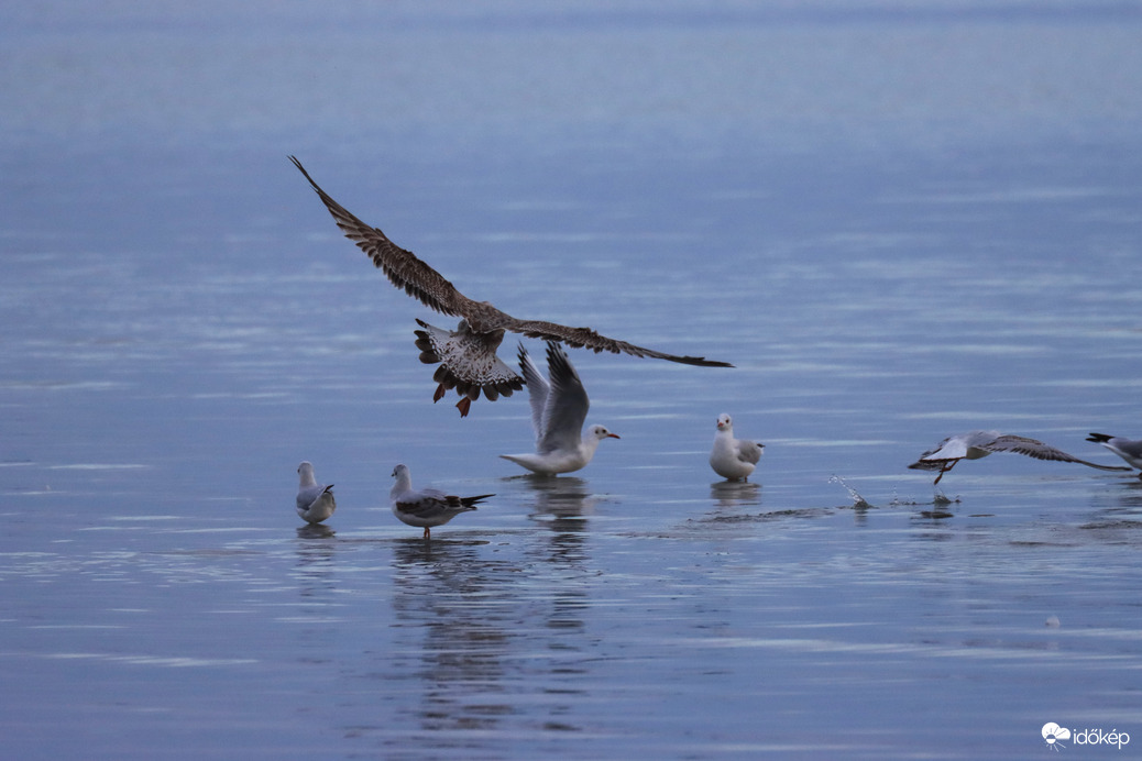 BALATONKENESE