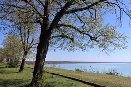 TAVASZI NAPSÜTÉSBEN