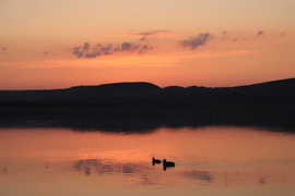 PAZAR BALATONI ALKONYAT