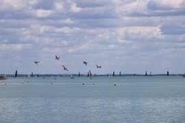 BALATONFÜRED