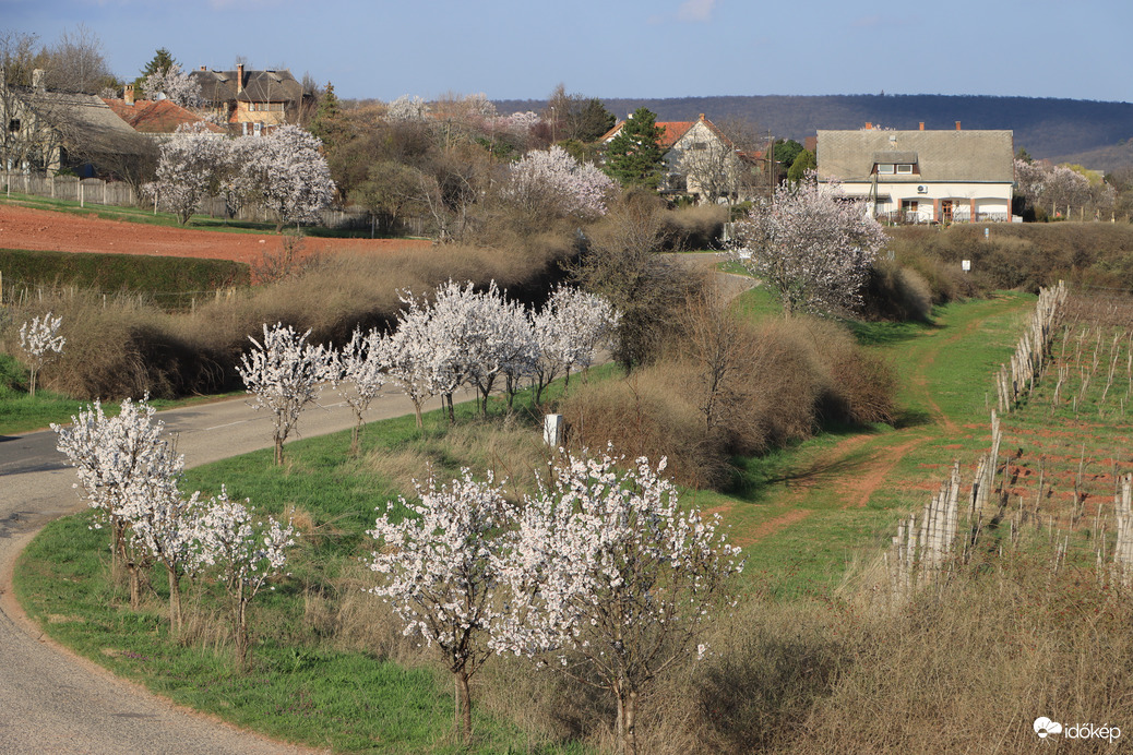 TAVASZ VAN, MILYEN SZÉP TAVASZ VAN