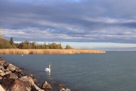 CSODÁLATOS SZÍNEK A PARTON