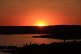 TERMÉSZET FESTMÉNYE