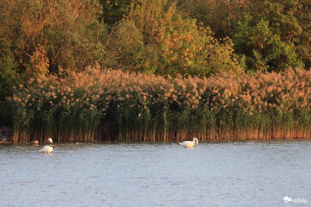 BALATONAKARATTYA