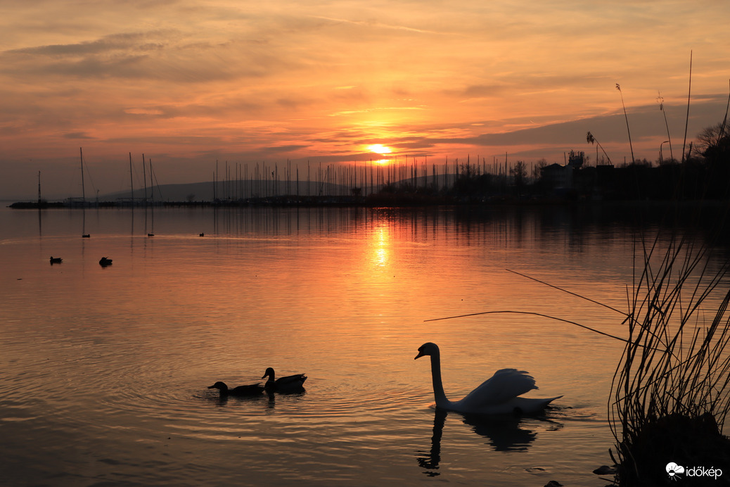 BALATON