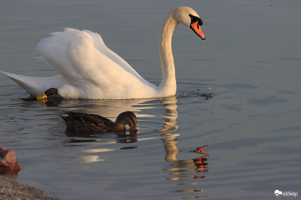 Itt maradt egy pillanat