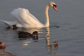 Itt maradt egy pillanat