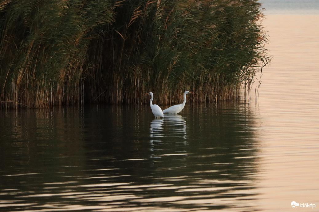 BALATONFŰZFŐ