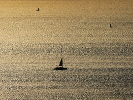 ARANYLÓ BALATON