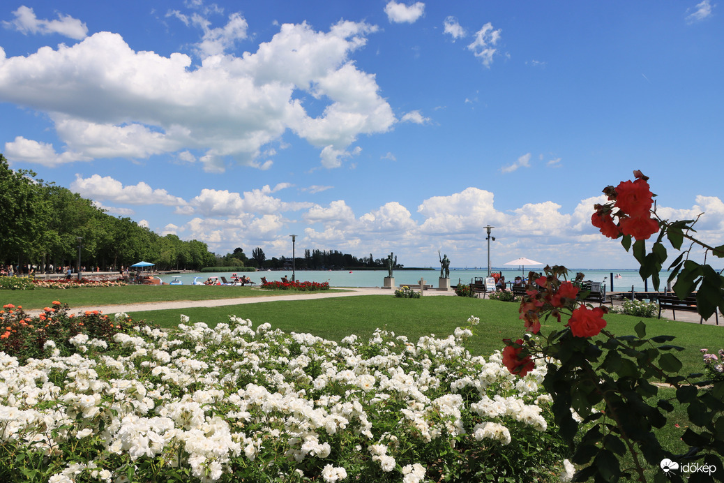 BALATONFÜREDI RÓZSÁK