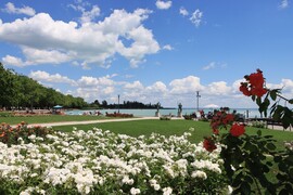 BALATONFÜREDI RÓZSÁK