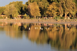 SIÓFOK