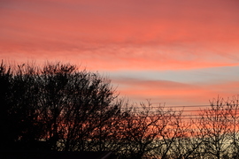 VÖRÖSBEN TÜNDÖKLŐ