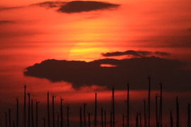 Vöröslő naplemnete