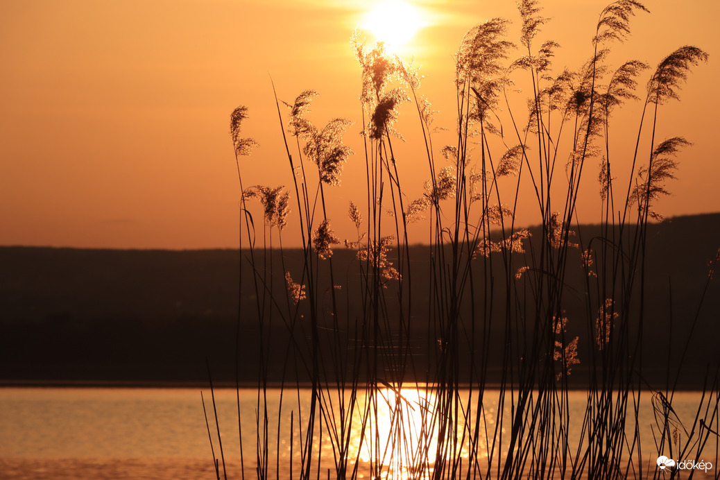 ARANYBAN TÜNDÖKLŐ NAPLEMENTE