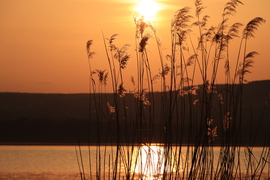 ARANYBAN TÜNDÖKLŐ NAPLEMENTE