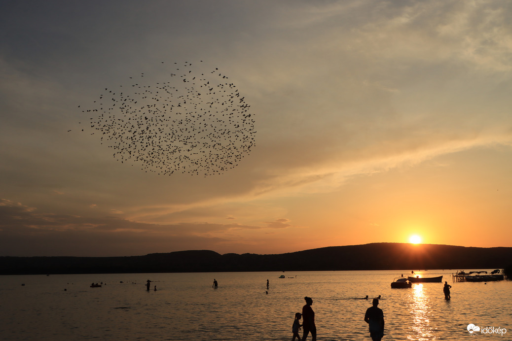 BALATONFŰZFŐ ÉS A SEREGÉLYEK 
