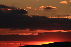 VARÁZSLATOS NAPNYUGTA