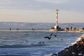 TÉLI VARÁZSLAT A TAVON