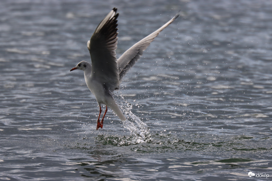 Hétvégi napsütésben.