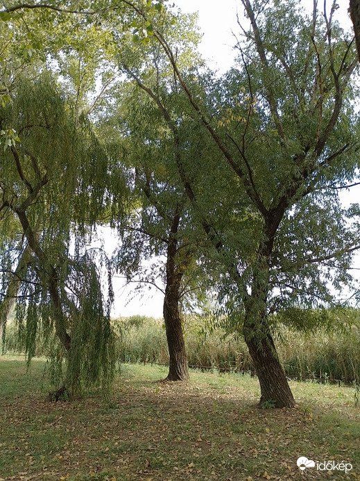 Kiskunhalas-Felsőszállás