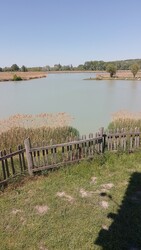 Kiskunhalas-Felsőszállás