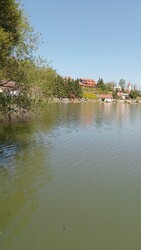 Bánk