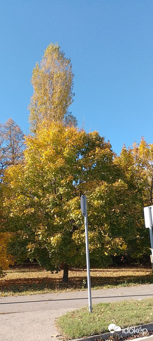 Pirtó