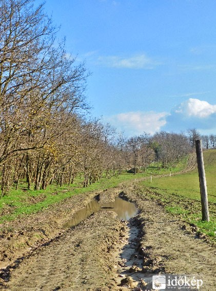 Út a sárban